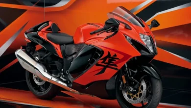 Faster Than Almost Everything. Suzuki Hayabusa Top Speed Tested. How Fast Is Too Fast?