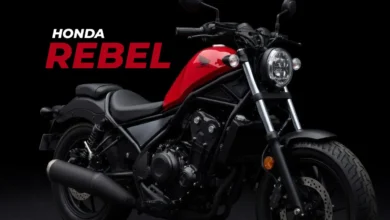 Why the Honda Rebel Is the Ideal First Bike for New Riders in 2026. The Perfect Starting Point