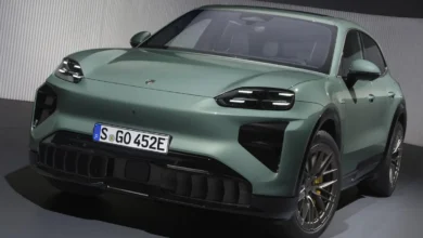 Porsche Cayenne Electric Battery Longevity & Degradation Explained