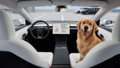 Tesla Model 3 Hidden Features You Should Know. 12 Hidden Features Will Surprise You