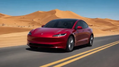 Tesla Model 3 Ownership Experience After 1 Year. Month by Month, Dollar by Dollar and Owner Experience Documented