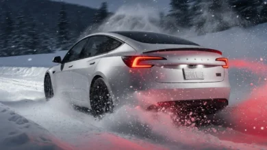 Tesla Model 3 Winter Range Loss In USA. Here Is Everything Cold-Weather Owners Need to Know