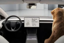 Total Cost of Owning a Tesla Model 3 In USA. Analysis That Every Buyer Needs Before Signing