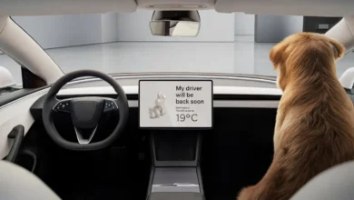 Total Cost of Owning a Tesla Model 3 In USA. Analysis That Every Buyer Needs Before Signing