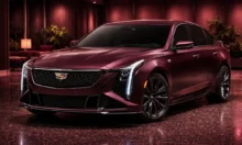 V8 Cars Still Available In USA in 2026. A Celebration of the Engines That Refuse to Die