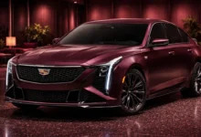 V8 Cars Still Available In USA in 2026. A Celebration of the Engines That Refuse to Die