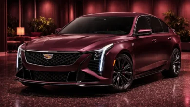 V8 Cars Still Available In USA in 2026. A Celebration of the Engines That Refuse to Die