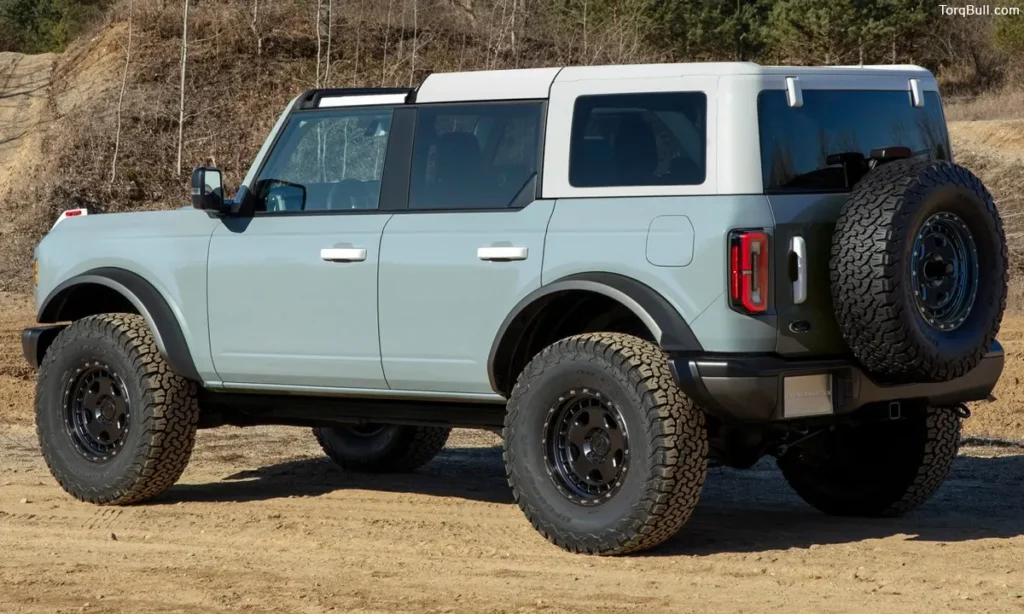 Ford Bronco rear view on off-road 349857