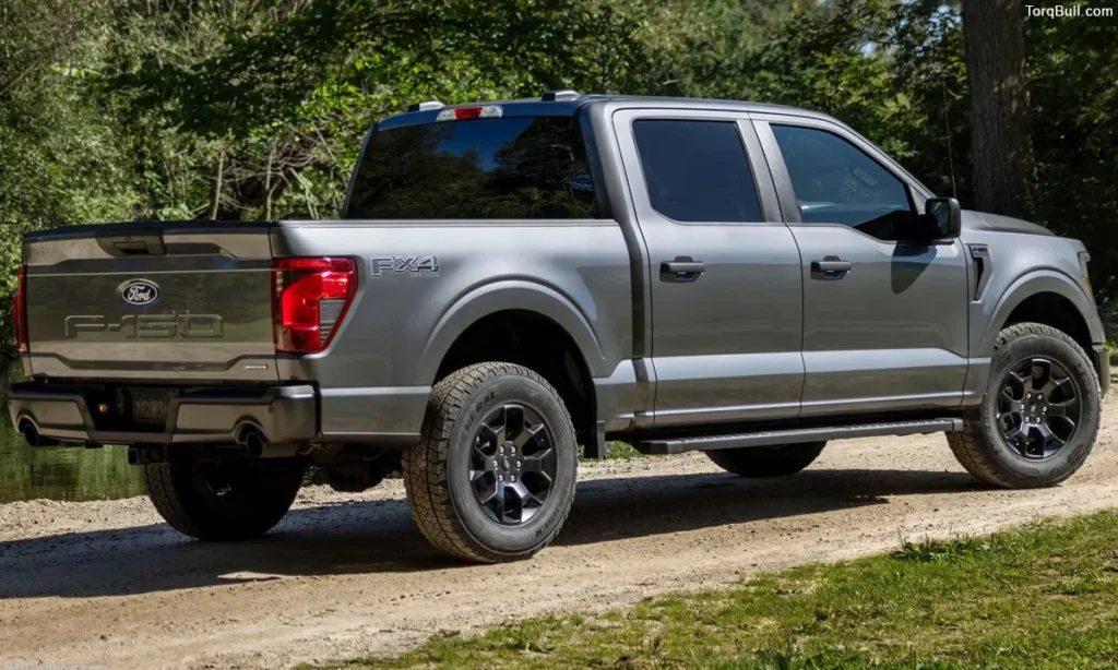 Ford F-150 rear view off road 348795