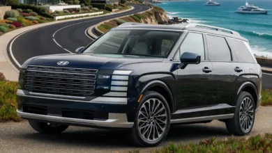 Hyundai Palisade Things Nobody Tells You Before You Buy One
