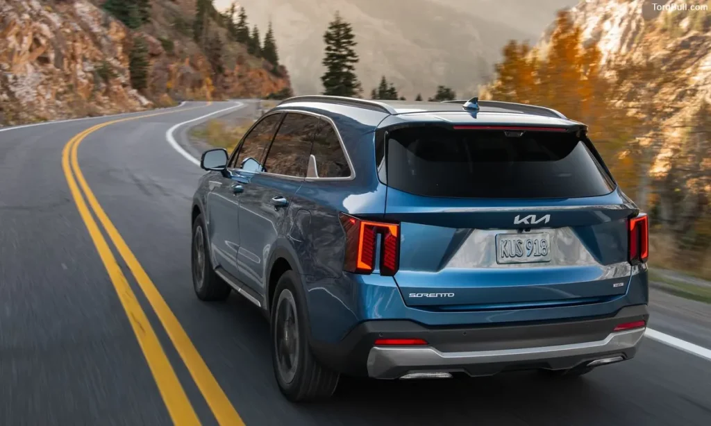 Kia Sorento rear view on road 4230958