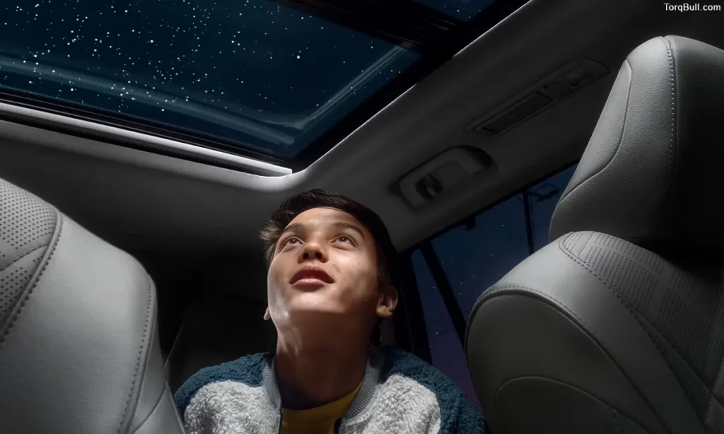 Toyota Highlander Hybrid Night view through sunroof