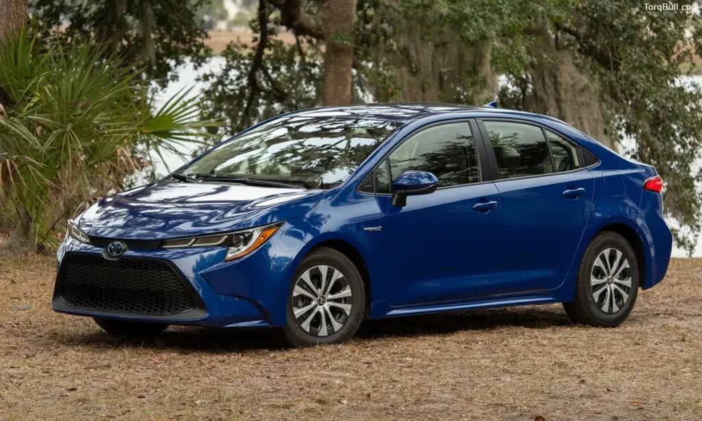 Toyota Corolla Hybrid parking in forest