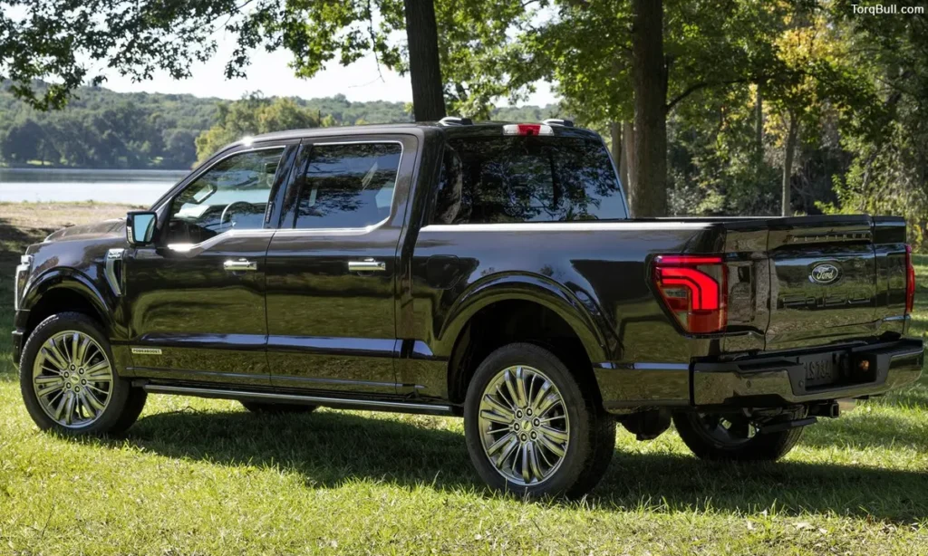 Ford F-150 parking in lawn 476